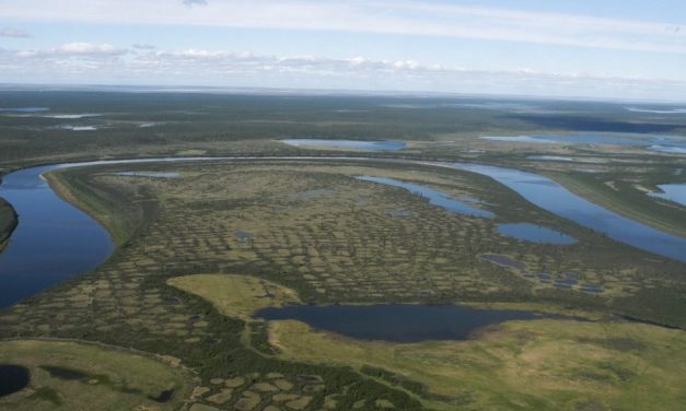 Die sibirische Tundra droht fast komplett zu verschwinden