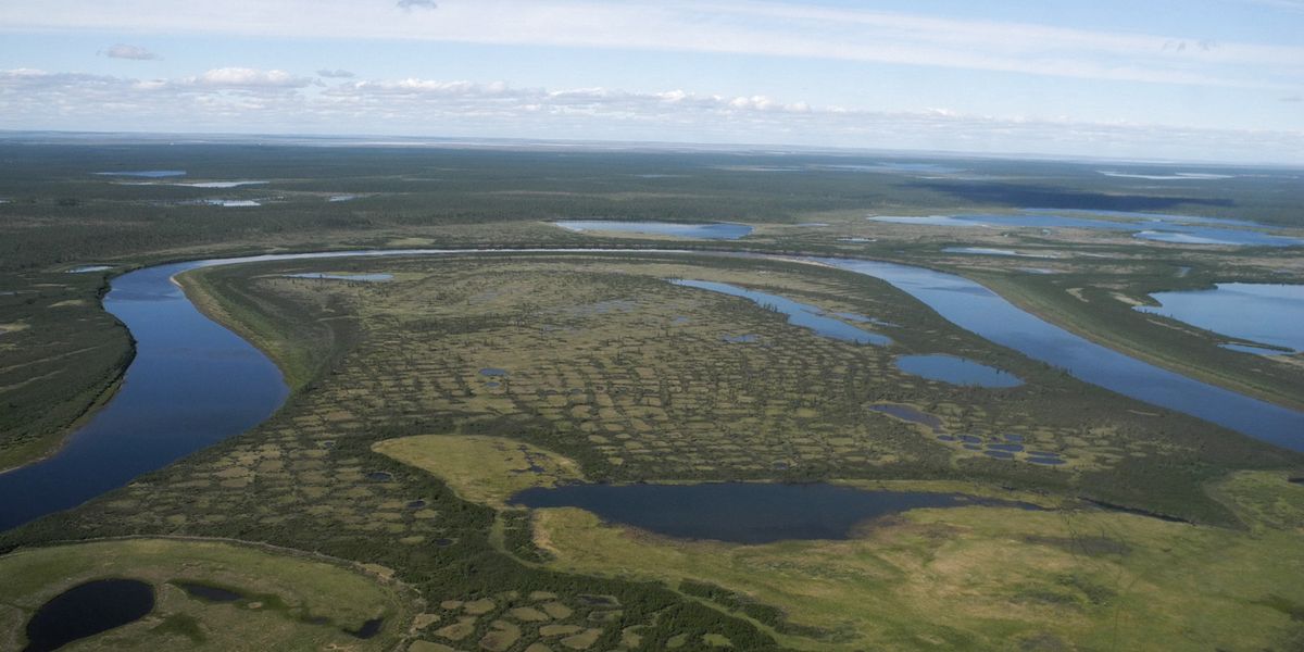 Die sibirische Tundra droht fast komplett zu verschwinden