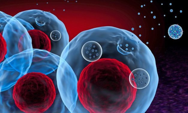 Körpereigene Strukturen bergen großes medizinisches Potenzial