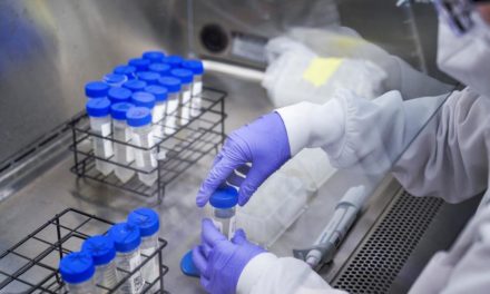 BA.4 und BA.5 weiter auf dem Vormarsch