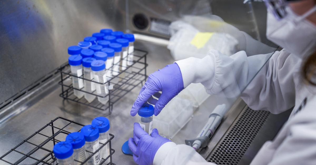 BA.4 und BA.5 weiter auf dem Vormarsch