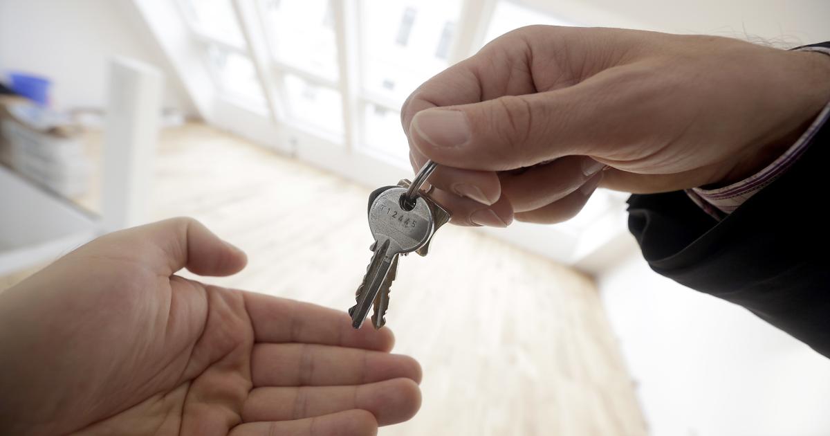 Angeschlagener Immokonzern Adler Group mit weniger Geschäft