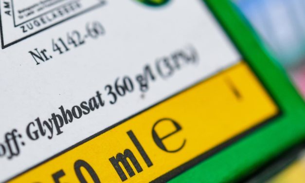 Glyphosat – ECHA bleibt bei Einstufung nicht potenziell krebserregend