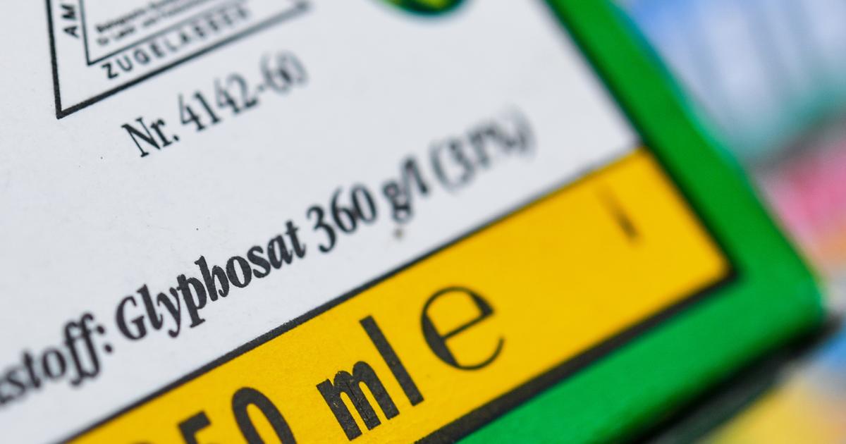 Glyphosat – ECHA bleibt bei Einstufung nicht potenziell krebserregend