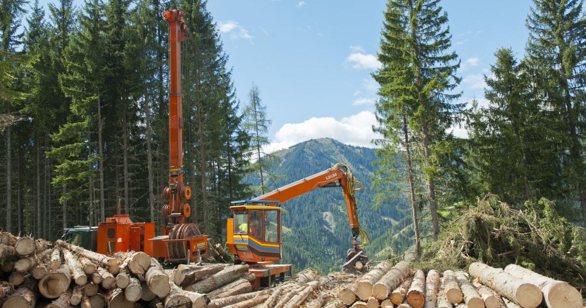 Zu wenig Biomasse für  die Energiewende