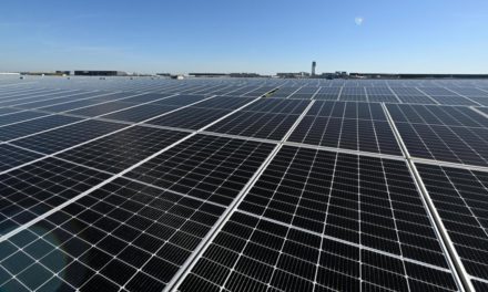 Raiffeisen gründet im Burgenland 20 Energiegenossenschaften