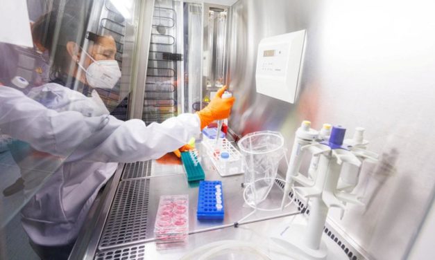 Run auf Pharma-Aktien: Affenpockenvirus hat die Börse befallen