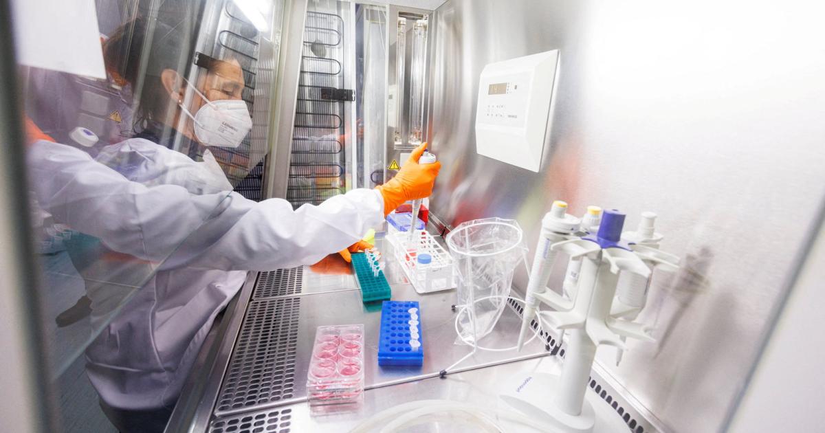 Run auf Pharma-Aktien: Affenpockenvirus hat die Börse befallen