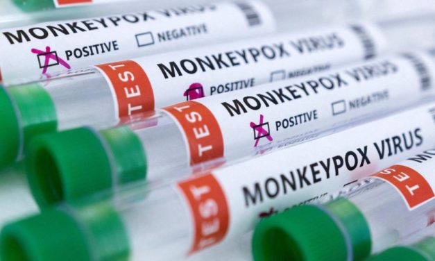 US-Behörde: Mehr als 700 Affenpocken-Fälle in 21 Ländern bekannt