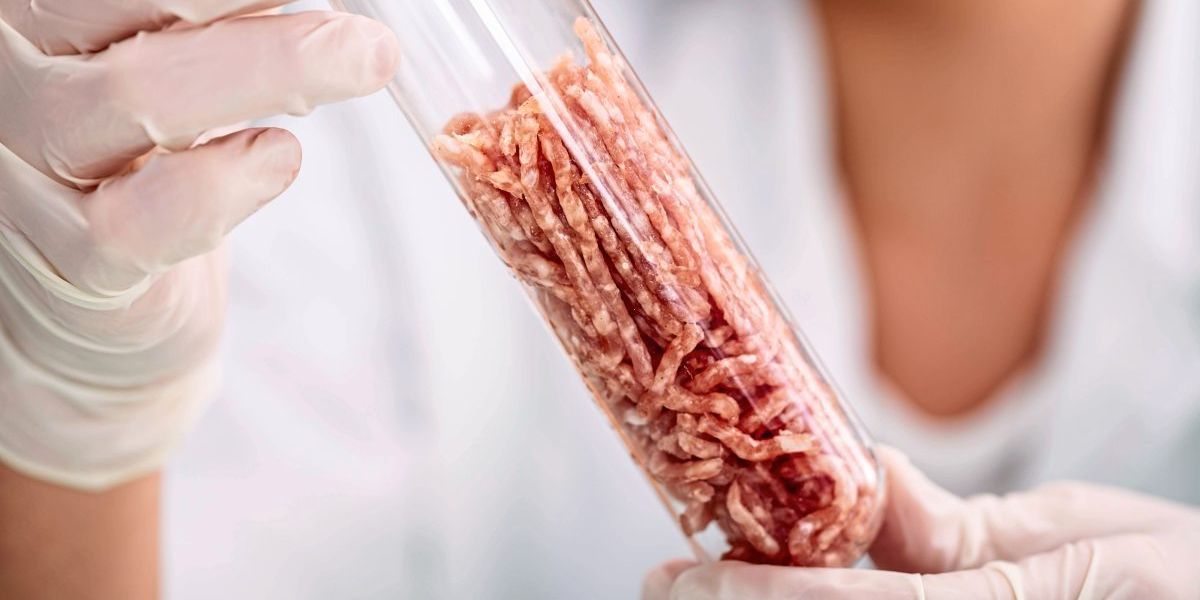 Designte Hefen könnten Fleisch mit möglichst geringem Tierleid erschaffen