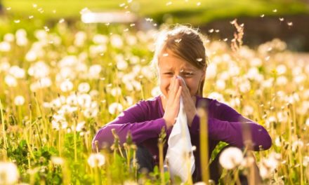 Neue Umfrage: So oft gehen Allergiker in Krankenstand