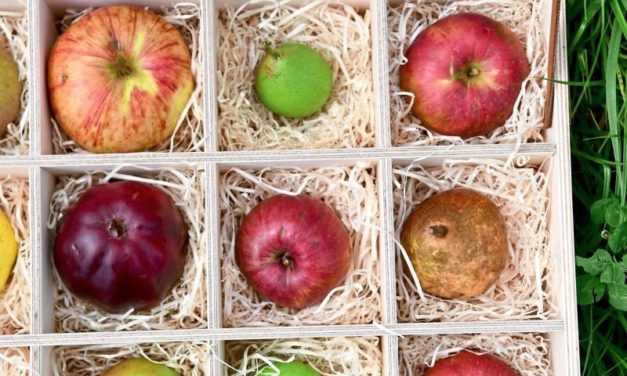 Warum wir es selten schaffen, uns nachhaltig und gesund zu ernähren