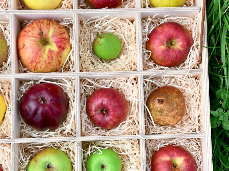 Warum wir es selten schaffen, uns nachhaltig und gesund zu ernähren