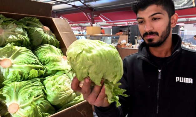 Lieferengpässe: KFC ersetzt Salat im Burger durch Weißkohl