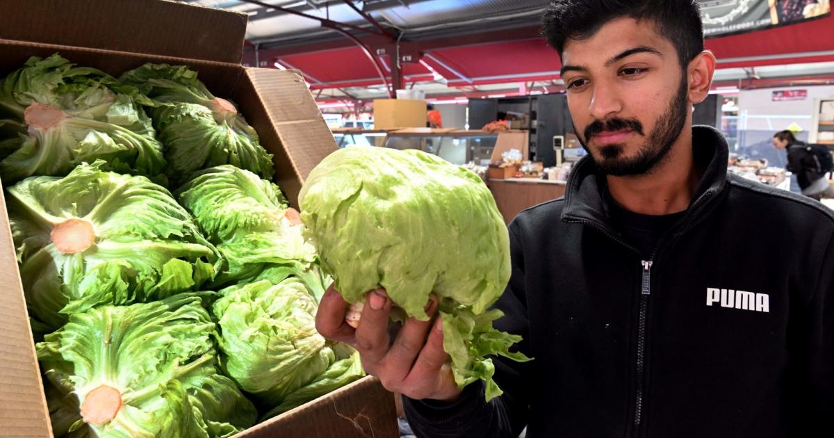 Lieferengpässe: KFC ersetzt Salat im Burger durch Weißkohl