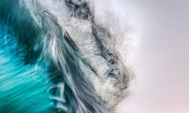 Warum Meeresschutz höchste Priorität haben sollte