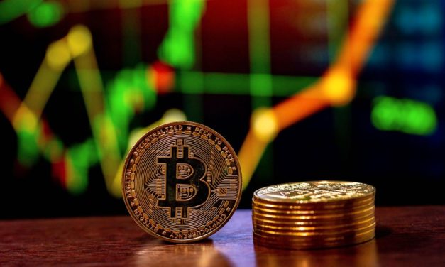 Private Kryptoanleger sind keine Draufgänger
