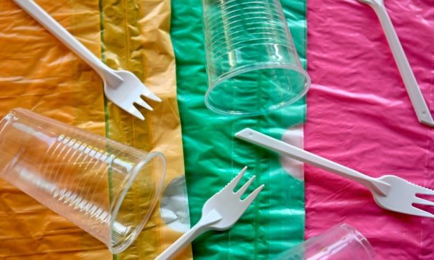 Auch Bioplastik kann für die Umwelt problematisch sein