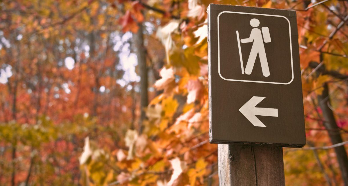 100 Personen gerettet: Alpenverein warnt vor ungeprüften Wander-Infos im Netz