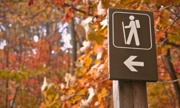 100 Personen gerettet: Alpenverein warnt vor ungeprüften Wander-Infos im Netz