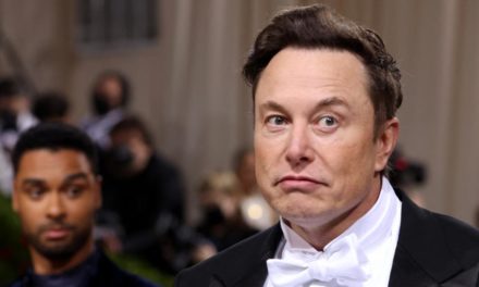 Twitter gibt Musks Auskunftsforderungen für Übernahme nach