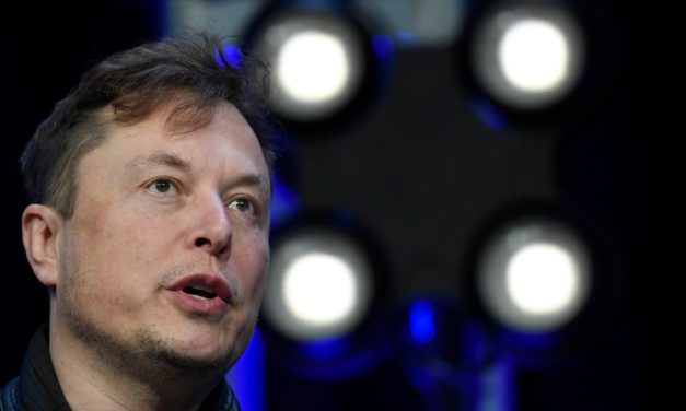 Elon Musk: Twitter beugt sich offenbar Druck und will Auskunft über Bots geben