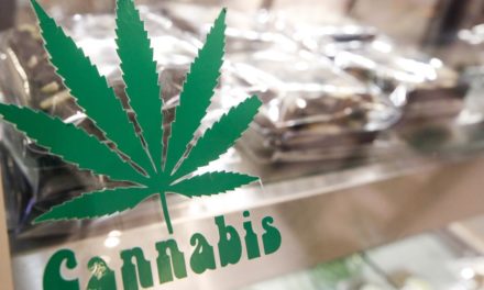 „Macht Alkohol teurer und legalisiert Cannabis“