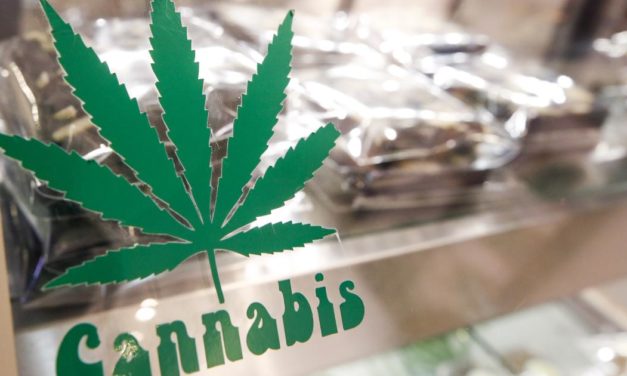 „Macht Alkohol teurer und legalisiert Cannabis“