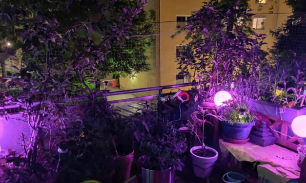 Smart Lights: Günstige Alternativen zu Philips Hue von Ikea, Ledvance und Co.