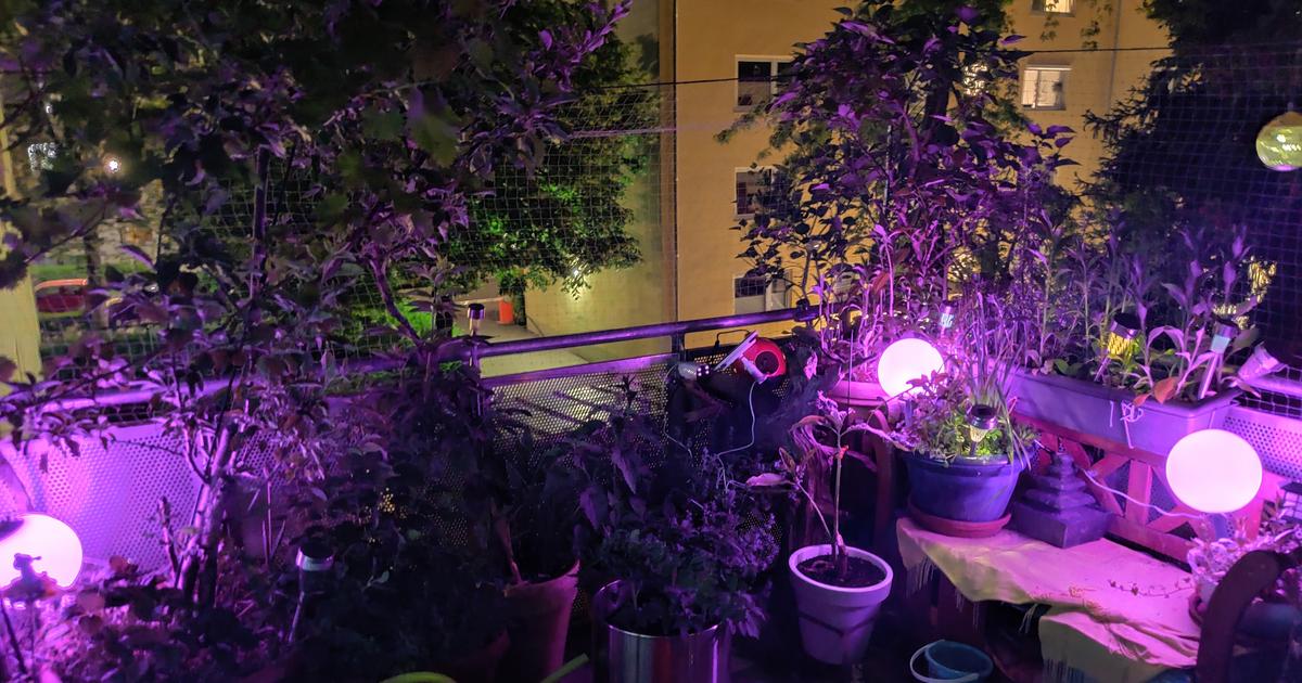 Smart Lights: Günstige Alternativen zu Philips Hue von Ikea, Ledvance und Co.