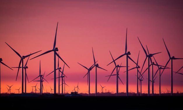 Fossile Industrie hofft auf E-Fuels aus der Sahara