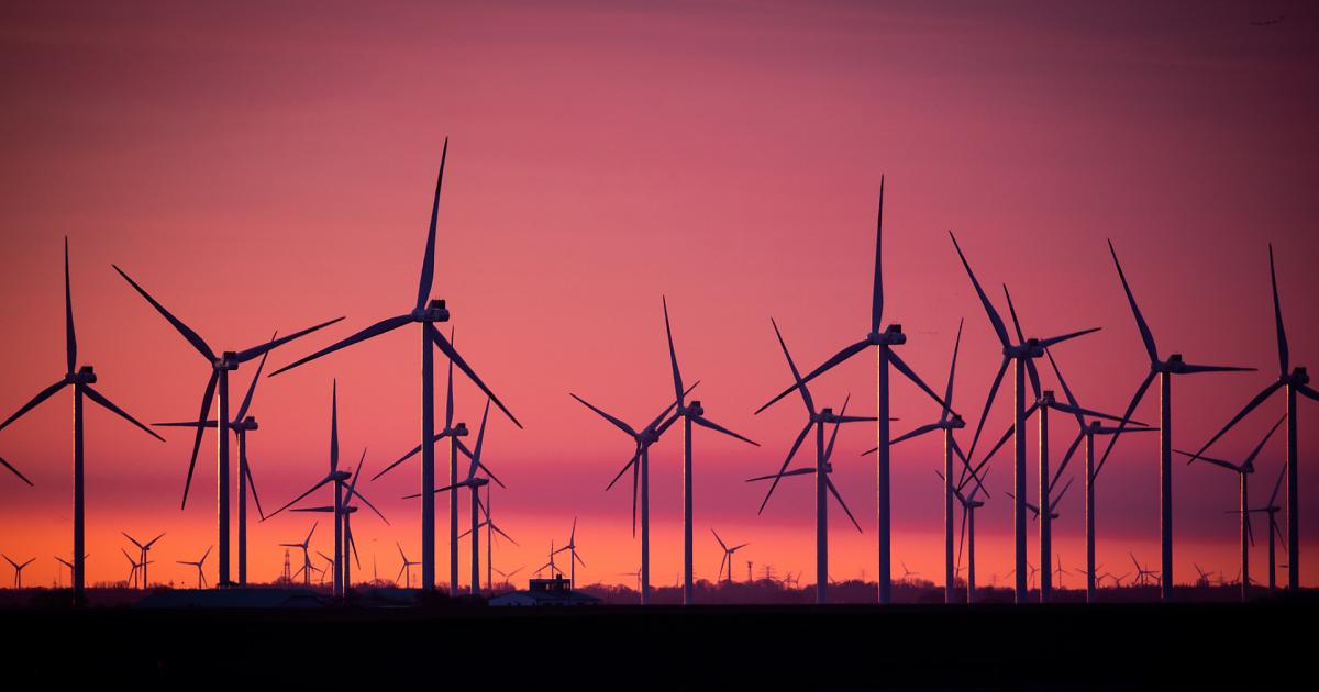 Fossile Industrie hofft auf E-Fuels aus der Sahara