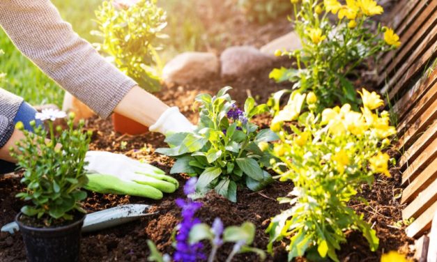 Wie sich Gartenarbeit positiv auf Psyche und Körper auswirkt