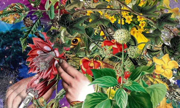 Kokain: Zerstörung und Elend auf ganzer Linie