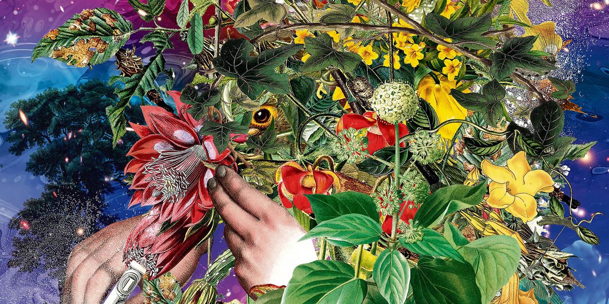 Kokain: Zerstörung und Elend auf ganzer Linie