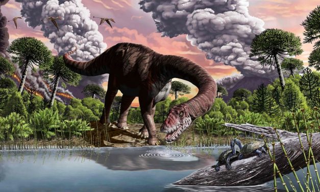 Fund in Bayern bringt neue Details zum Ende der Dinosaurier