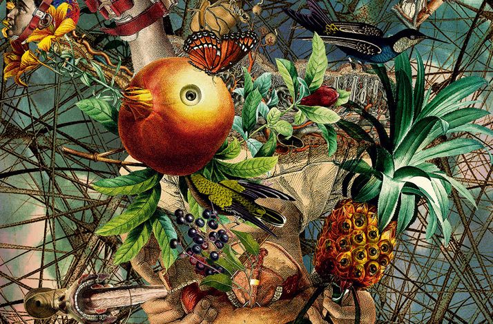 LSD und andere Psychedelika werden in der Medizin wieder salonfähig