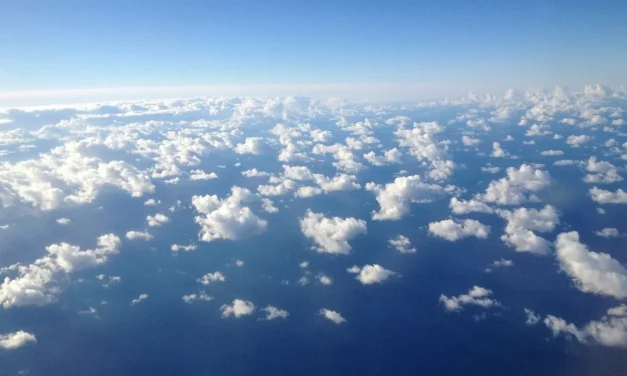 Bitkom-Studie: Die Cloud ist fast überall – aber anders als gedacht