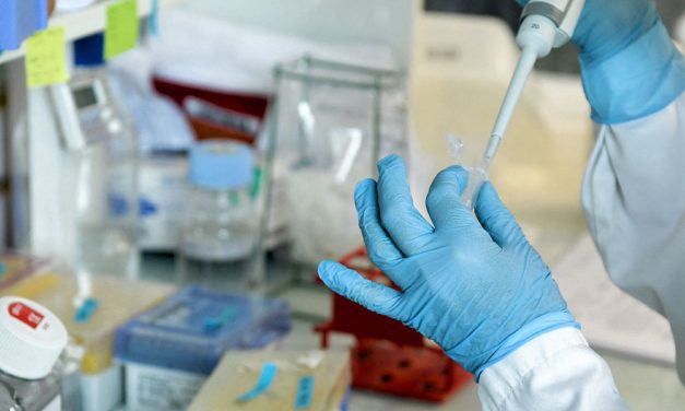 Exzellente Wissenschaft: Österreichische Forschende in den USA ausgezeichnet