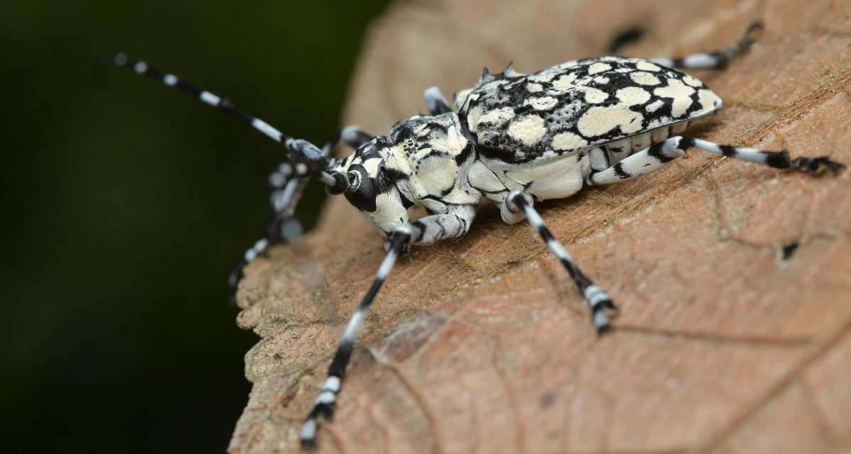 l+f: Rauswurf bei Bug-Bounty-Plattform wegen Veröffentlichung