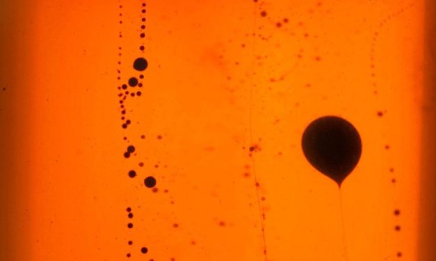 Was Erdöl mit Milch und Honig zu tun hat