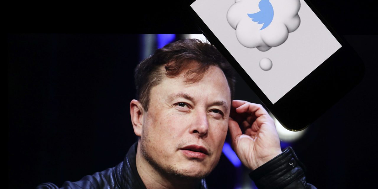 Twitter: Elon Musk will Krypto-Zahlungen einführen