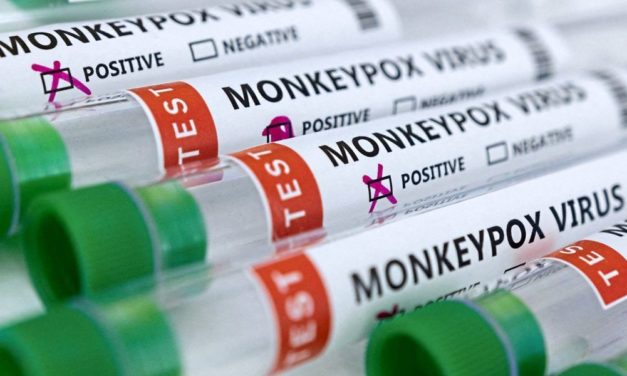 Affenpocken sollen umbenannt werden