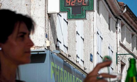 Hitzewellen in Europa und den USA belasten Mensch und Tier