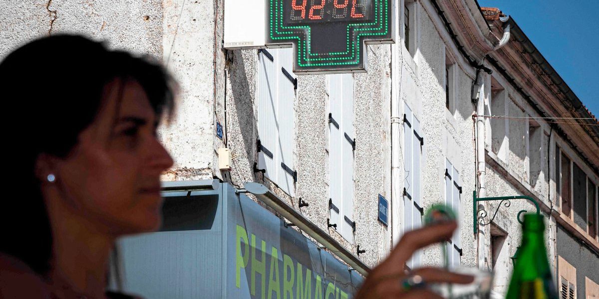 Hitzewellen in Europa und den USA belasten Mensch und Tier