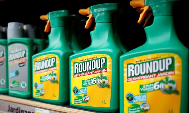Bayer: EPA muss Glyphosat erneut auf Gesundheitsrisiken überprüfen