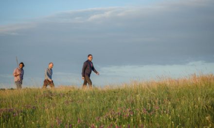 Das Wandern ist des Menschen Lust und zudem gut für die Gesundheit