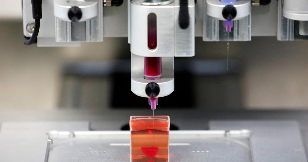 Transplantation: „Einsatz von Schweineherzen früher als 3-D-Druck“