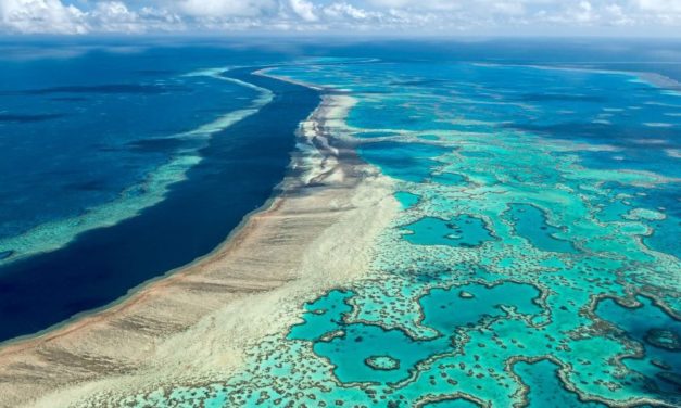 Erwärmung der Meere als Sargnagel des Planeten