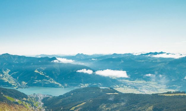 Forschende fordern „grünen Marshallplan“ gegen Artensterben